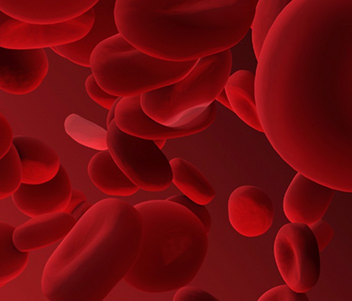 Mucize Protein: Hemoglobin