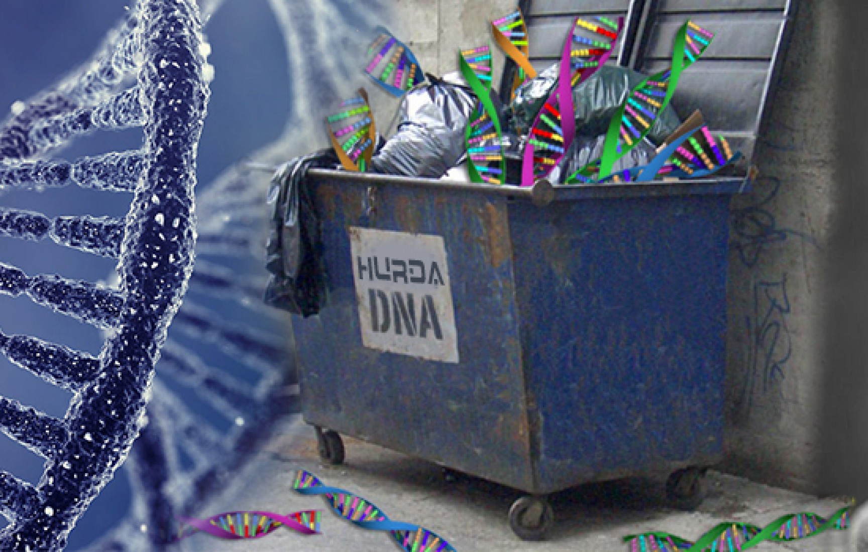 Hurda DNA İddiası Çöktü!