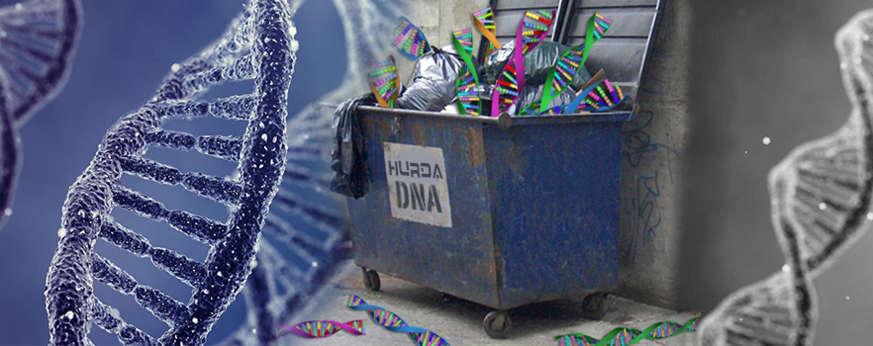 Hurda DNA İddiası Çöktü!