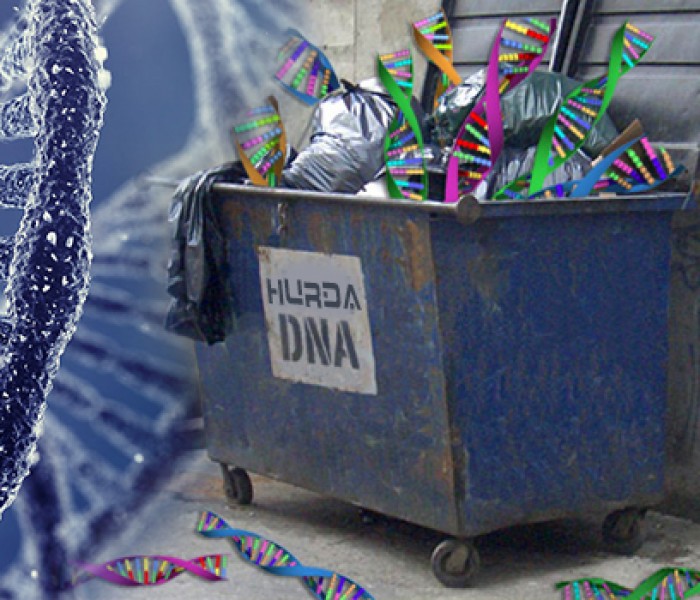 Hurda DNA İddiası Çöktü!