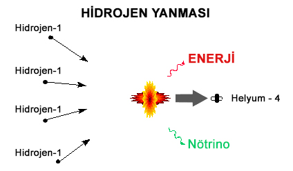 tokamak2