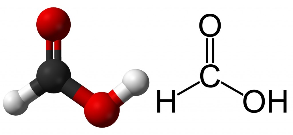 Formic-acid