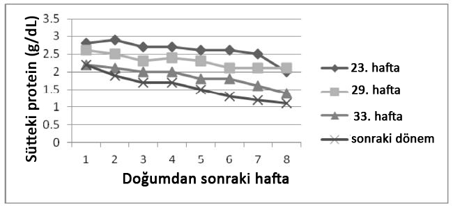 02 grafik