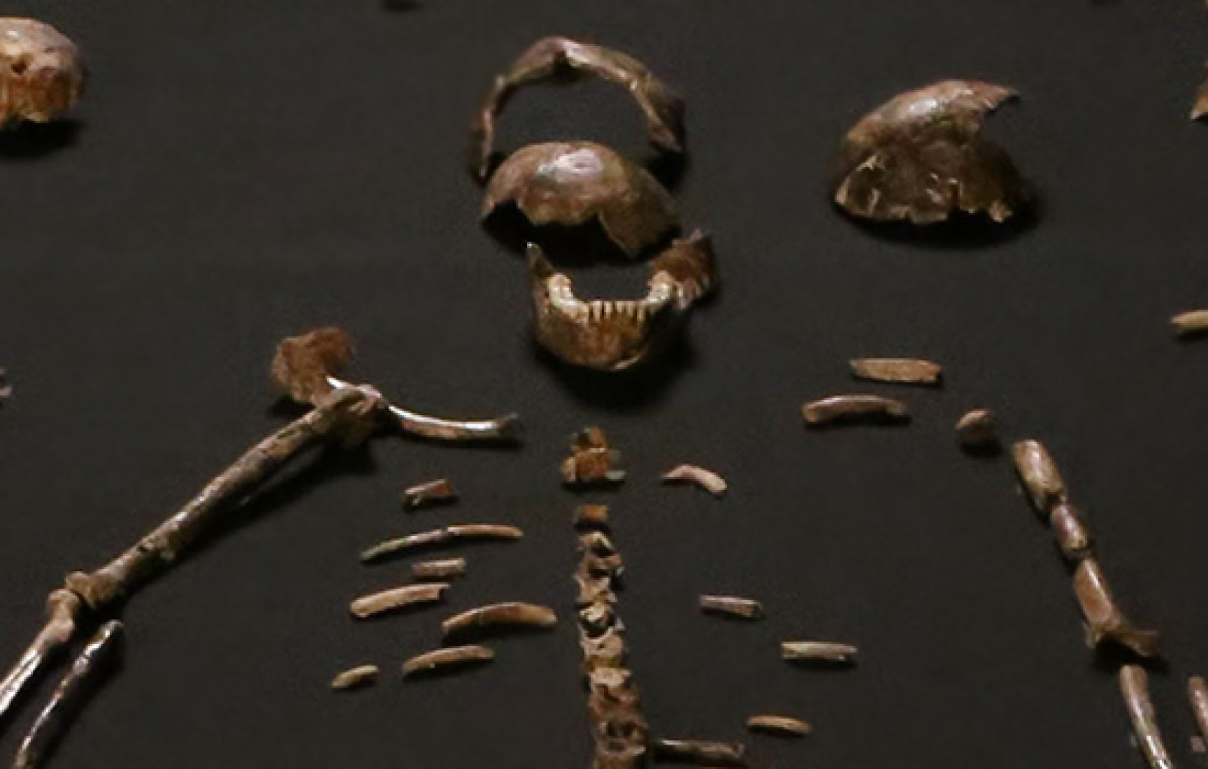 Evrimcilerin “Homo Naledi” Senaryosu Boş Çıktı