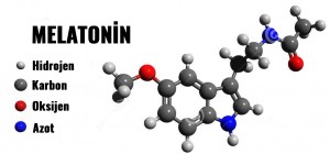 Melatonin formül