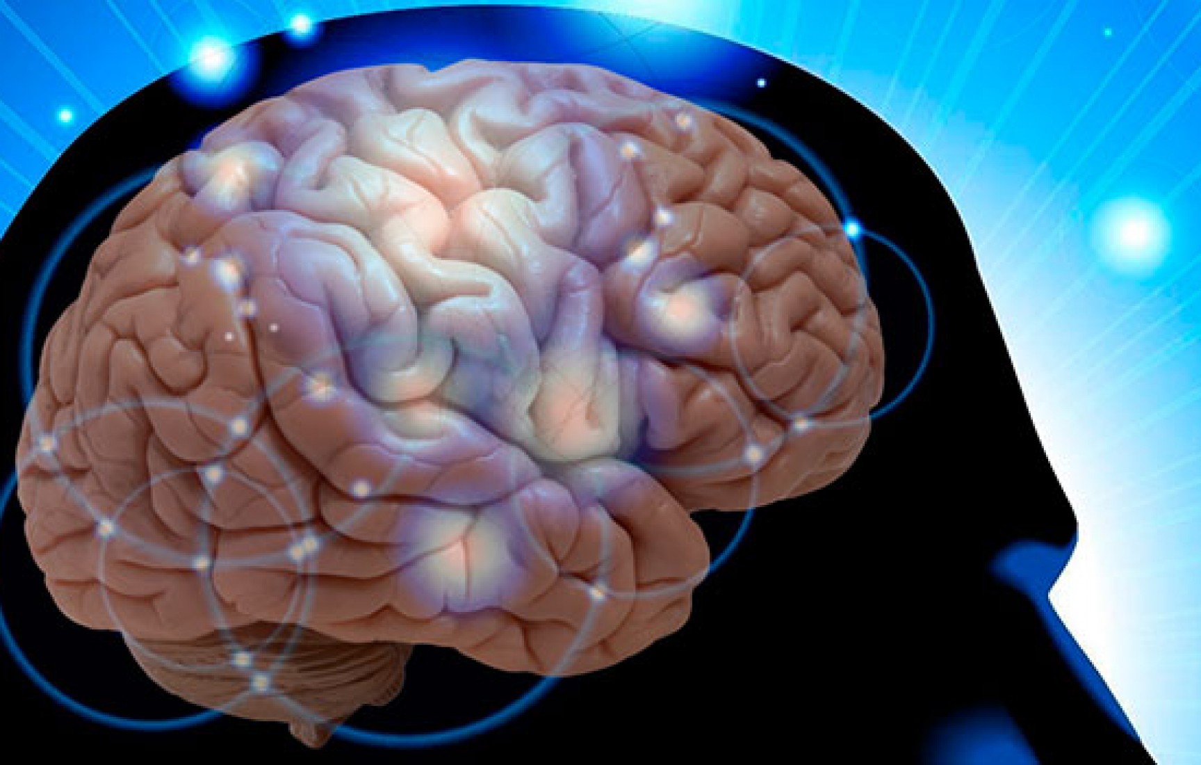 Beyinde Yeni Bir Tamir Sistemi Tespit Edildi