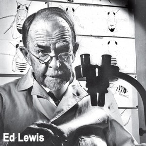 Ed Lewis