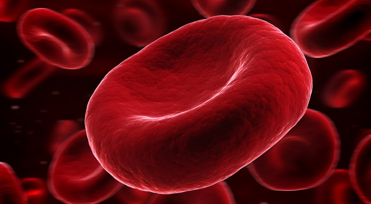 Склеенные эритроциты. Эритроциты в сосуде. Kan u. Логотип kan. Kan u.