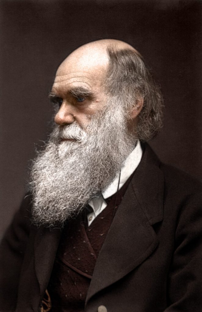 charles_darwin2_by_zuzahin-d6qvxfj