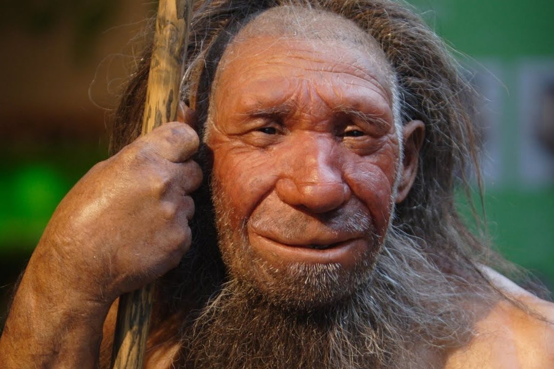 Evrimcilerin Çarpık Bilimsel Anlayışına Bir Örnek: Neandertaller