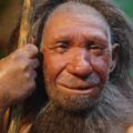 Evrimcilerin Çarpık Bilimsel Anlayışına Bir Örnek: Neandertaller