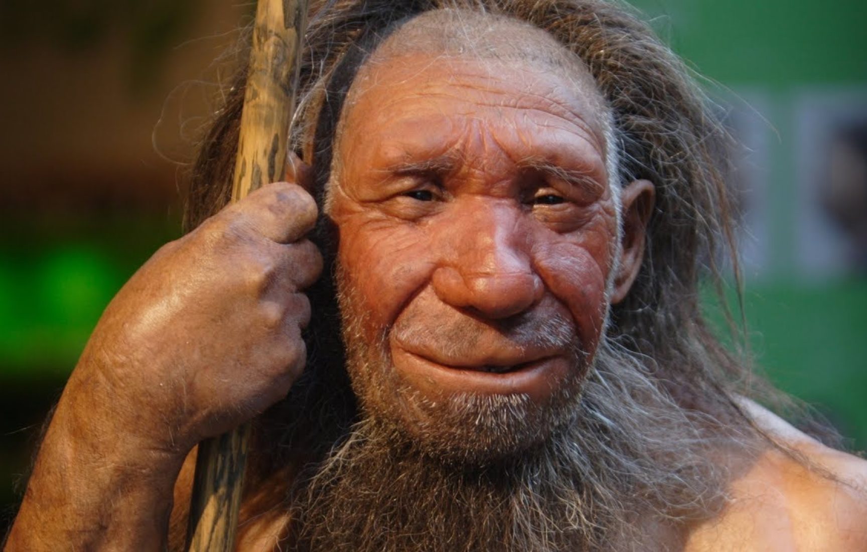 Evrimcilerin Çarpık Bilimsel Anlayışına Bir Örnek: Neandertaller