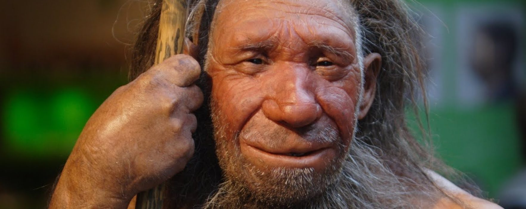 Evrimcilerin Çarpık Bilimsel Anlayışına Bir Örnek: Neandertaller