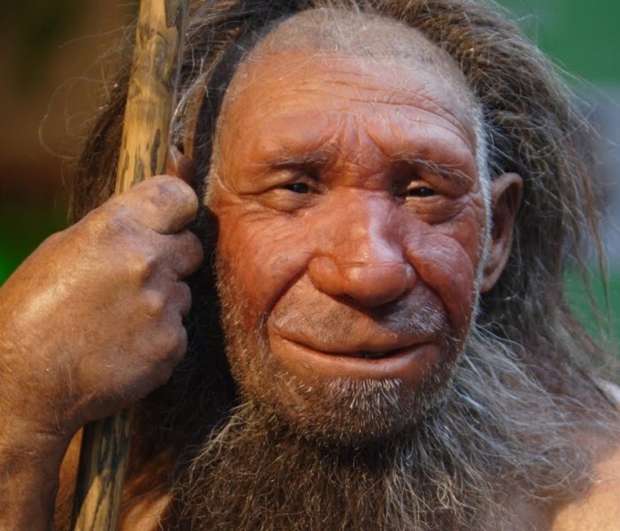 Evrimcilerin Çarpık Bilimsel Anlayışına Bir Örnek: Neandertaller