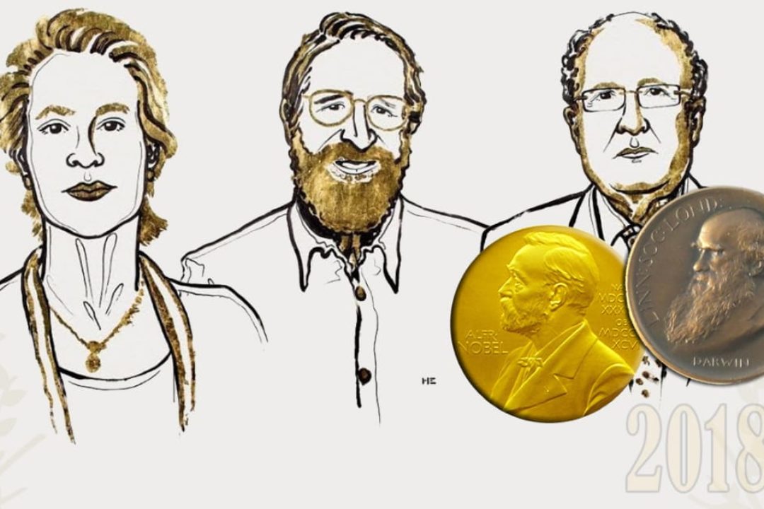 2018 Nobel Kimya Ödülü ve Evrimin Devam Eden Açmazları