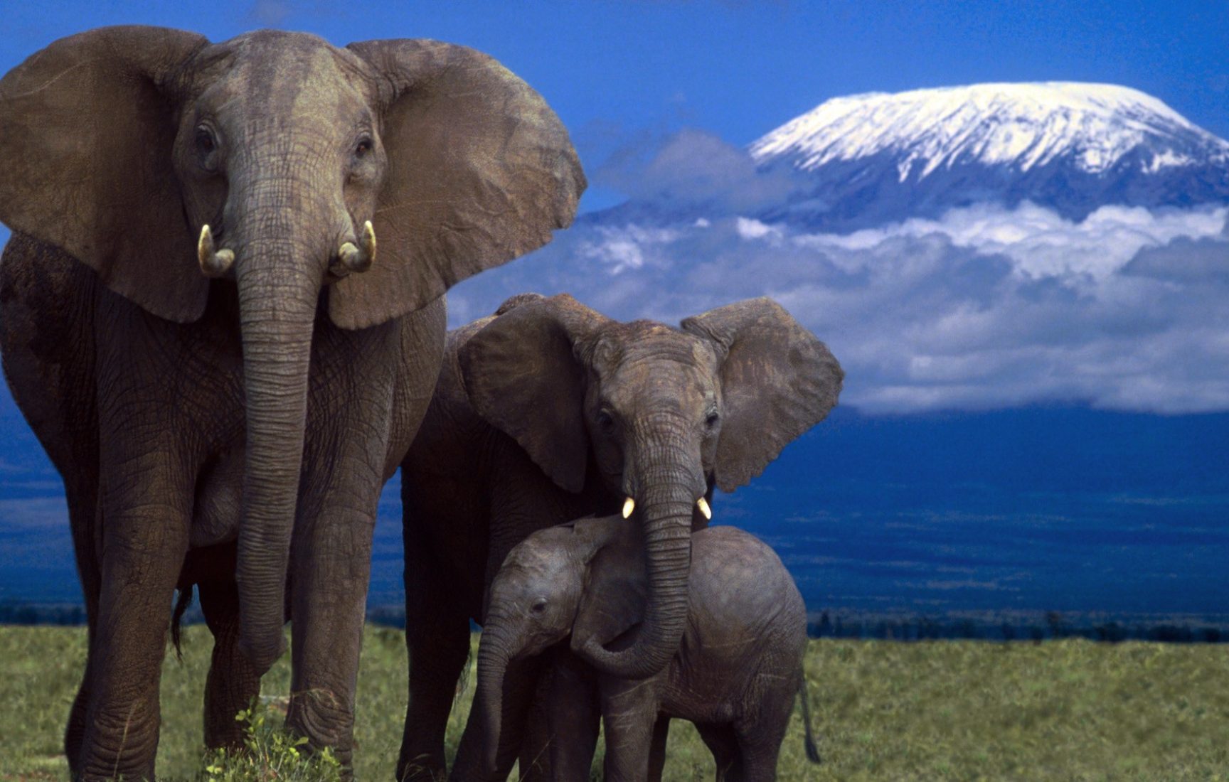 Filler Hakkındaki 10 Önemli Gerçek